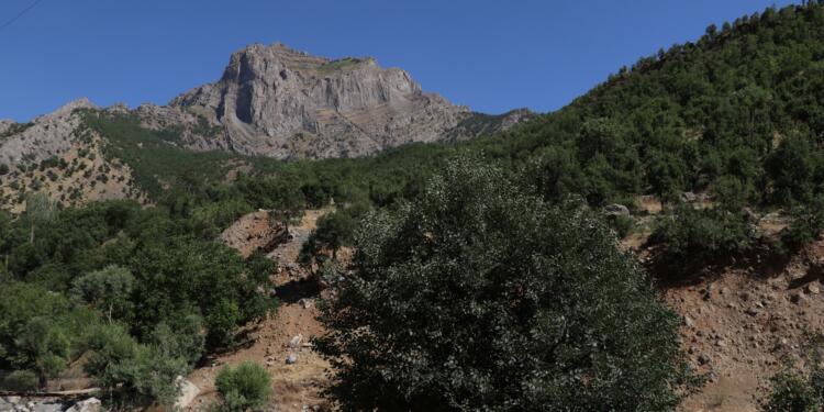 ‘Köyde karakola da ağaçların kıyımına da izin vermeyeceğiz’