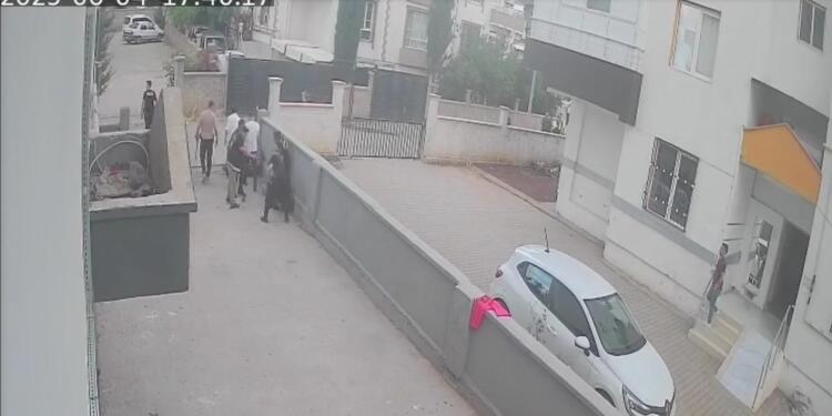 Polis kavga eden ailelere şiddet uyguladı