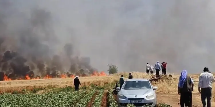 Riha’da tarla yangını: 100 dönüm alan zarar gördü, 1’i ağır 5 yaralı