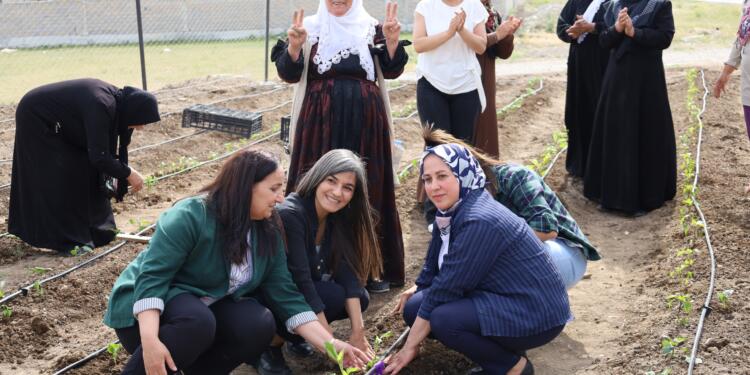 Wan’da ‘Xemê Akdoğan Kadın Kent Bostanı’ açıldı