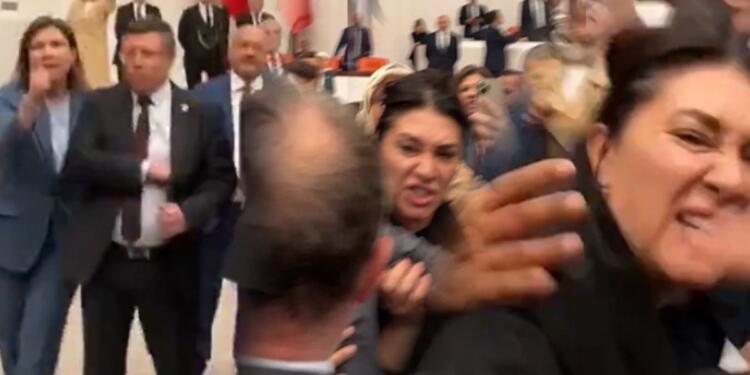 Zeytinlikler tehdit altında: Meclis’te kavga, yasaya onay