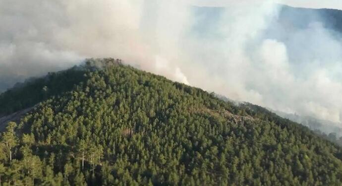 Ege Bölgesi’nde yangın