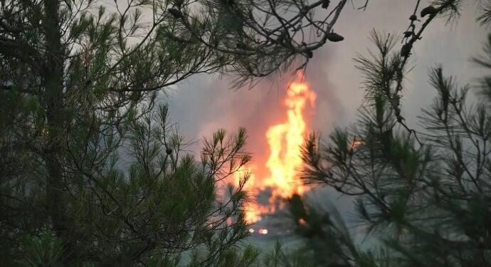 Balıkesir’de çıkan yangın Bursa’ya ulaştı: İki mahalle boşaltıldı