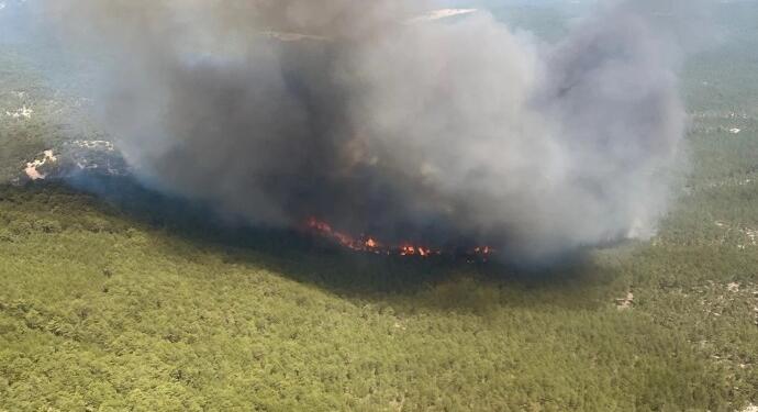 Eskişehir’de orman yangını