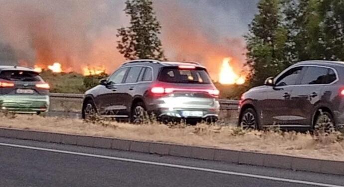 Aliağa yanıyor: Alevler karayoluna ulaştı