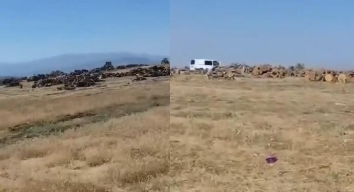 Şirnex’te yangın riskiyle kapatılan ormanlarda korucular kesim yapıyor