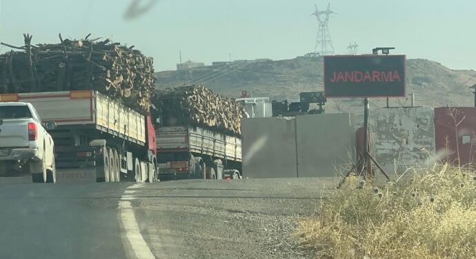 Gabar’da asker gözetiminde binlerce ağaç kesilip, satılıyor