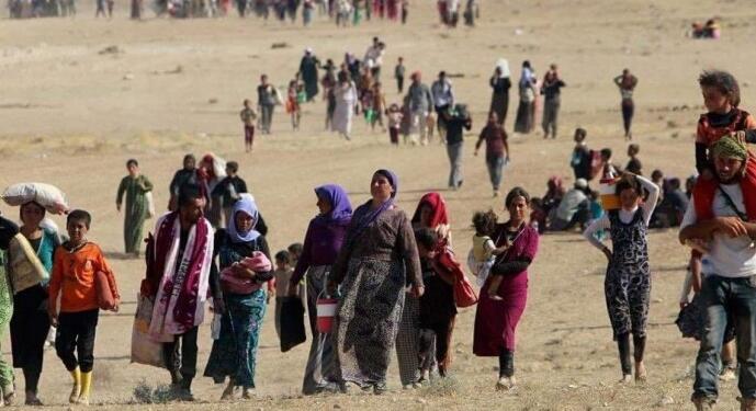 TAJÊ’den 19 ülkeye ‘Êzidî soykırımını tanıyın’ mektubu