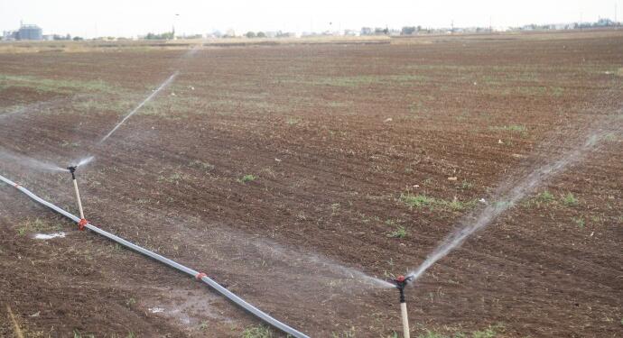 Yasağa rağmen Mêrdînliler mısır ekmek zorunda kaldı