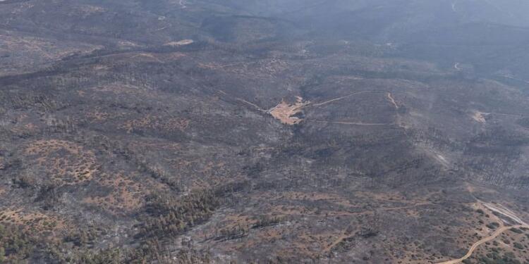 Bursa’daki orman yangını 5’inci gününde kontrol altına alındı