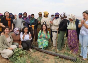 Tütün tarlasında atölye: Kadının kurtuluşu örgütlü mücadelede