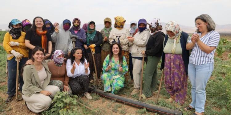 Tütün tarlasında atölye: Kadının kurtuluşu örgütlü mücadelede