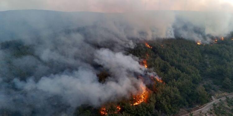 Birçok kentte orman yangını