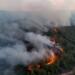 Birçok kentte orman yangını
