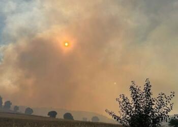 Çewlîk’te orman yangını