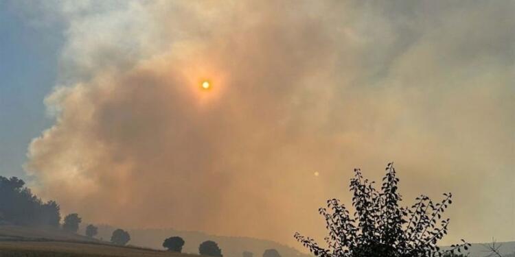 Çewlîk’te orman yangını