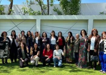 Kürt Kadınlar Birliği Platformu: Dilimiz onurumuzdur