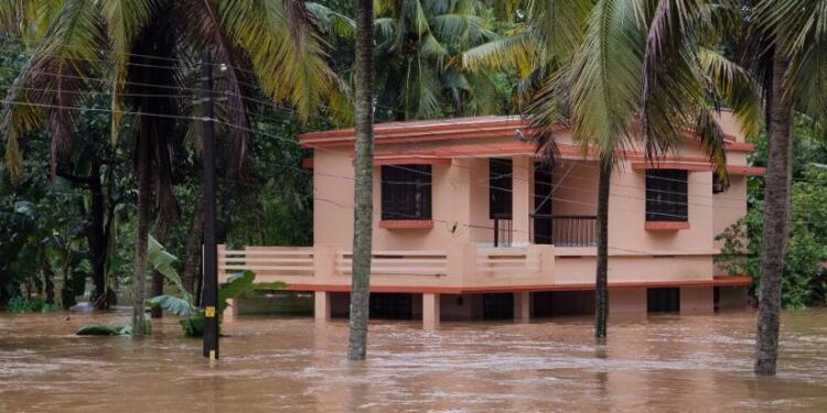 UNEP’ten dört yeni çevresel risk uyarısı