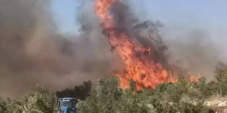 Mersin’de orman yangını