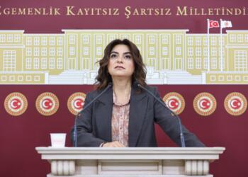 DEM Parti Grup Başkanvekili Koçyiğit: Yangınların sorumlusu AKP’dir