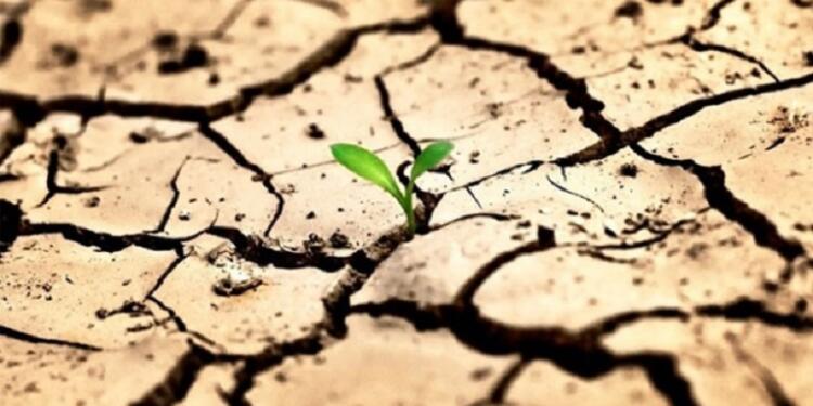 ‘Türkiye’nin su politikası, Irak’taki su ve ekonomik krizin başlıca nedenidir’