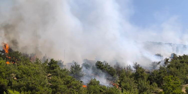 Semsûr’da orman yangını