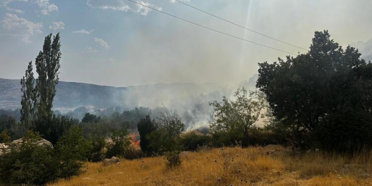 Licê’deki yangın kontrol altına alındı
