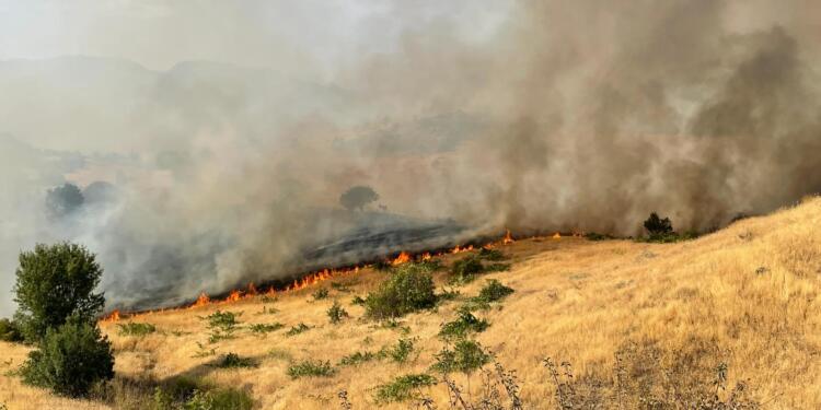 Erxenî’deki yangın yayılarak devam ediyor