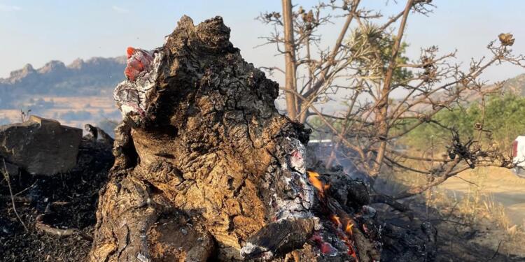Erxenî’deki yangın kontrol altına alındı