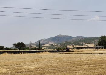 Fis Ovası’nda yangın