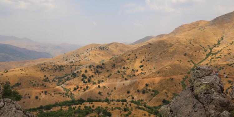 Hesendîn’den çağrı: Bize destek olun, doğamıza sahip çıkalım