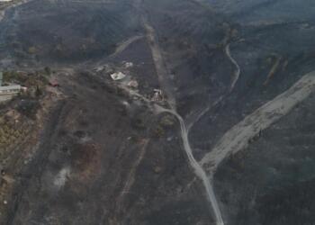 Bakan Yumaklı: Yangınlara karadan müdahale sürüyor