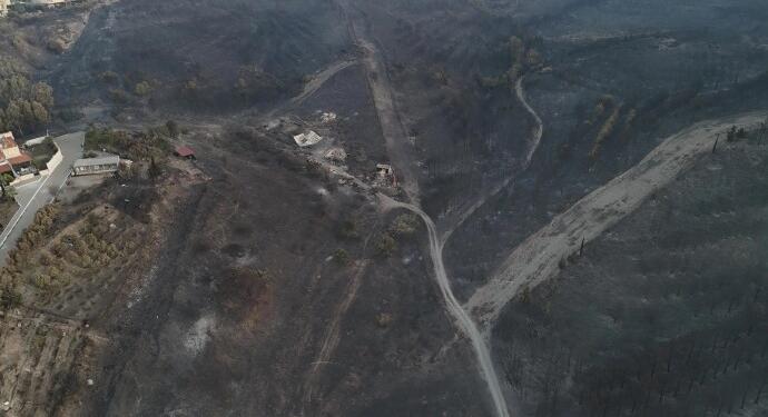 Bakan Yumaklı: Yangınlara karadan müdahale sürüyor