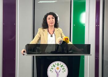 Türkoğlu’ndan Meclis’e yürüyüşe çağrı: Barışın teminatı kadınlardır