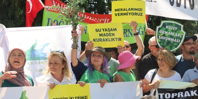 Zeytinlikler için Meclis önündeler: Yasayı durdurun