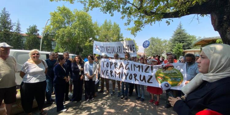 Zeytinliklere dair kanun teklifi Meclis’te görüşülüyor