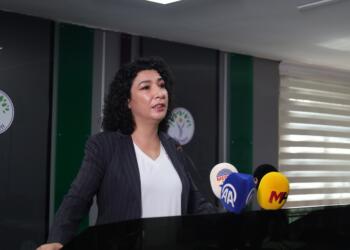 DEM Parti Kadın Meclisi Sözcüsü: Barışı kadınlarla birlikte inşa edeceğiz
