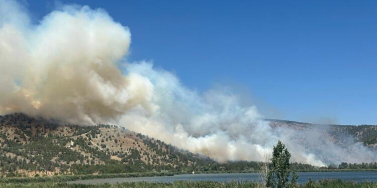 Ankara Eymir Gölü yakınında orman yangını çıktı