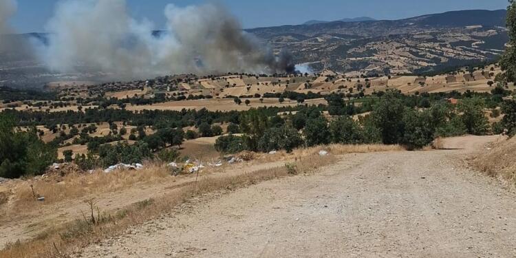 Ege’nin birçok bölgesinde yangın