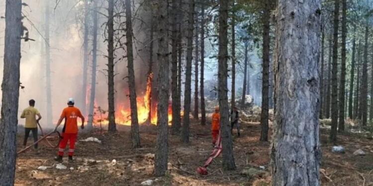 Ege’de 3 kentte yangın