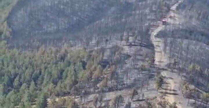 Afyon’da 5 hektarlık alan küle döndü