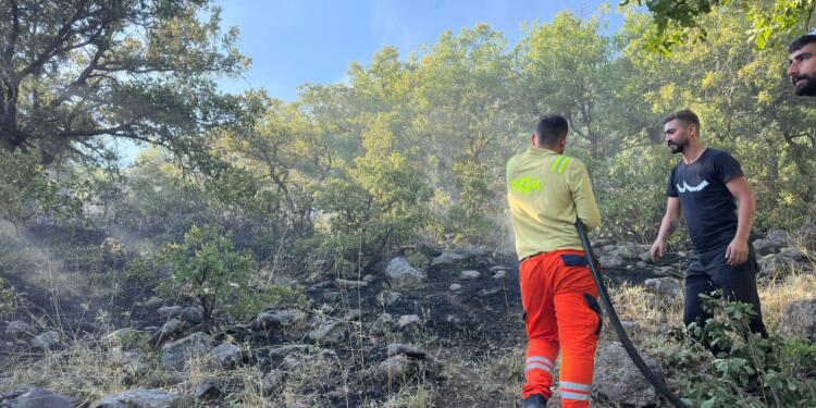 Dêrsim’de orman yangını