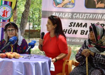 Dêrsim’de ‘Analar Çalıştayı’: Alevi ve Dürzilere destek çağrısı yapıldı