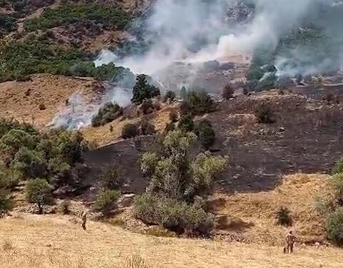 Dêrsim’de çıkan yangın söndürüldü