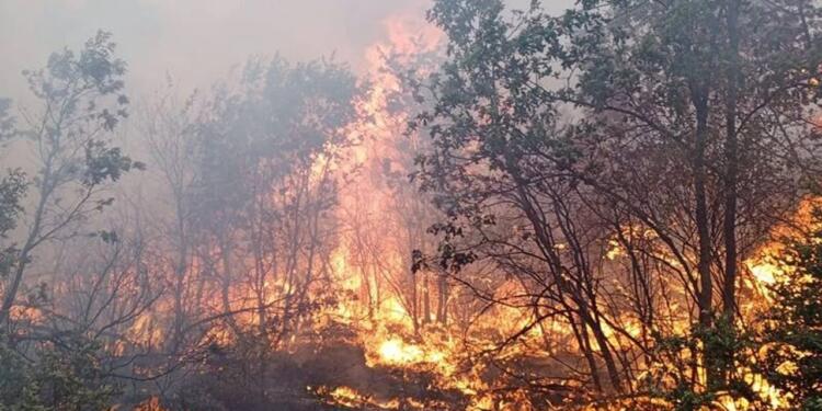 10 kişinin öldüğü yangın: 45 günlük işçi yangın söndürmeye gönderilmiş