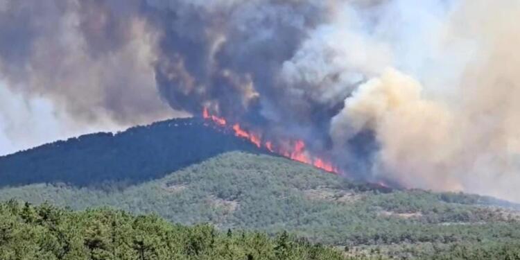 7 ayda 50 bin hektar alan yandı
