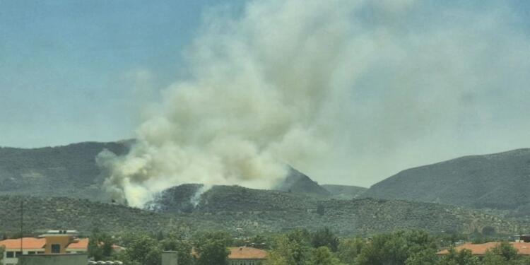 Ege’de 3 kentte yangın