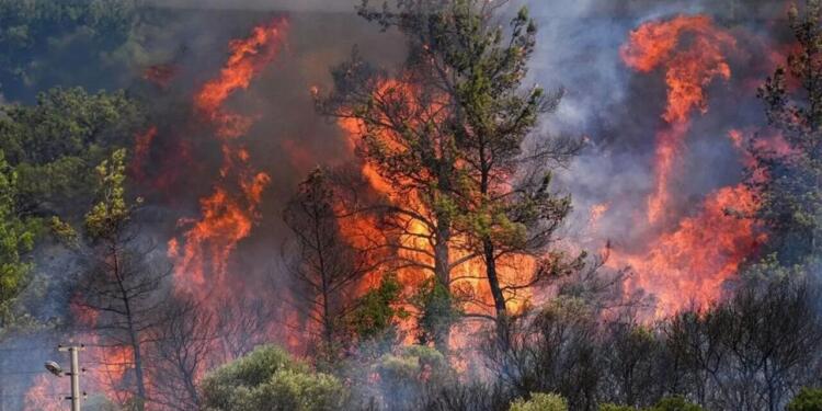 İzmir’de bir ayda 26 bin hektar alan yandı