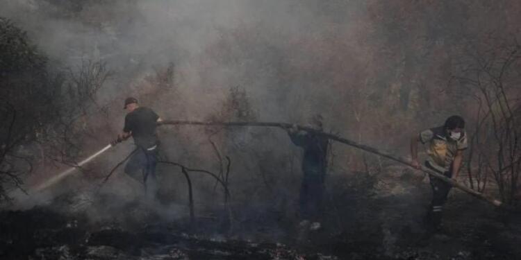Lazkiye yangını büyüyor, konvoylar yola çıktı