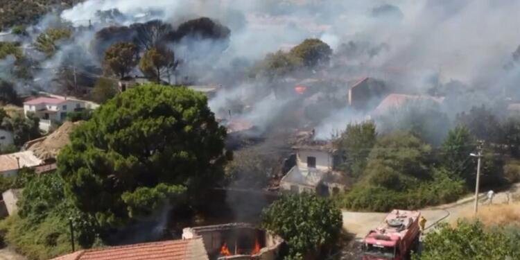 İzmir ve Manisa’da orman yangınları